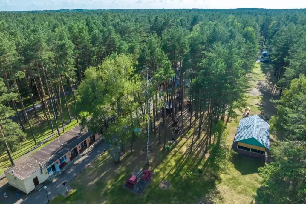 investir dans foret